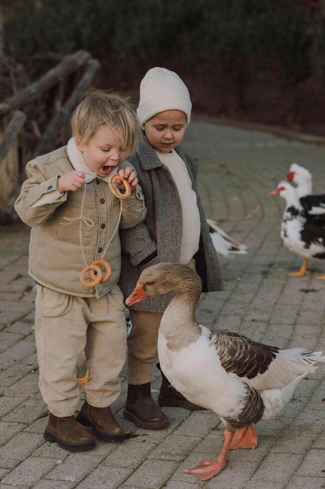 The children laugh as they dangle a thread of bagels, watching the geese stretch their necks to take a bite. photo