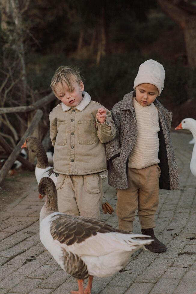 two kids hide the food from geese photo