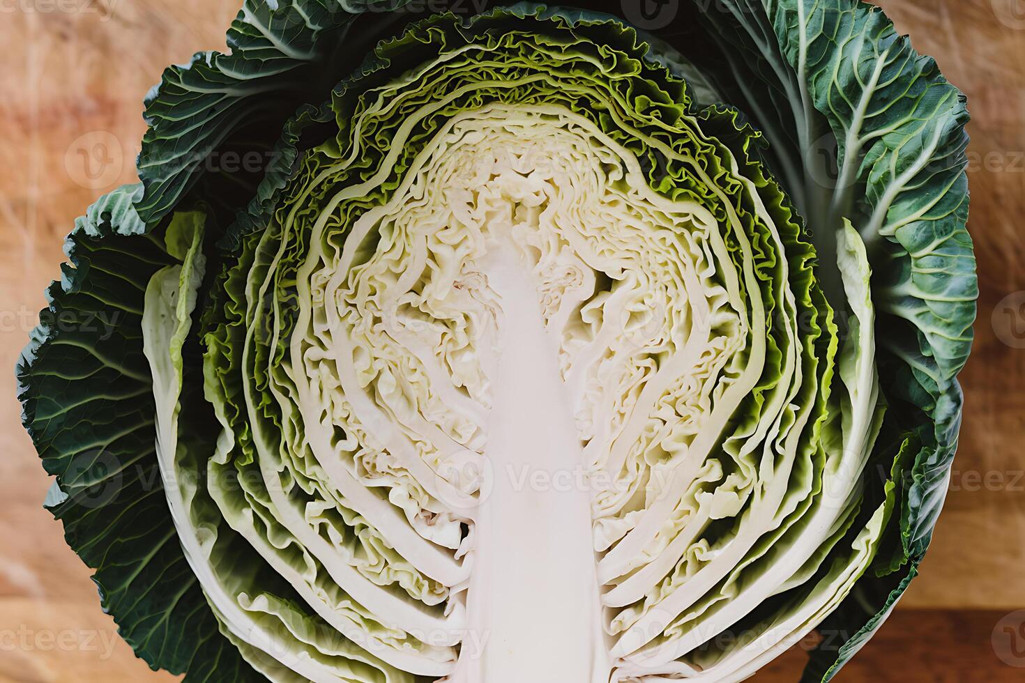 A close up of a head of cabbage photo