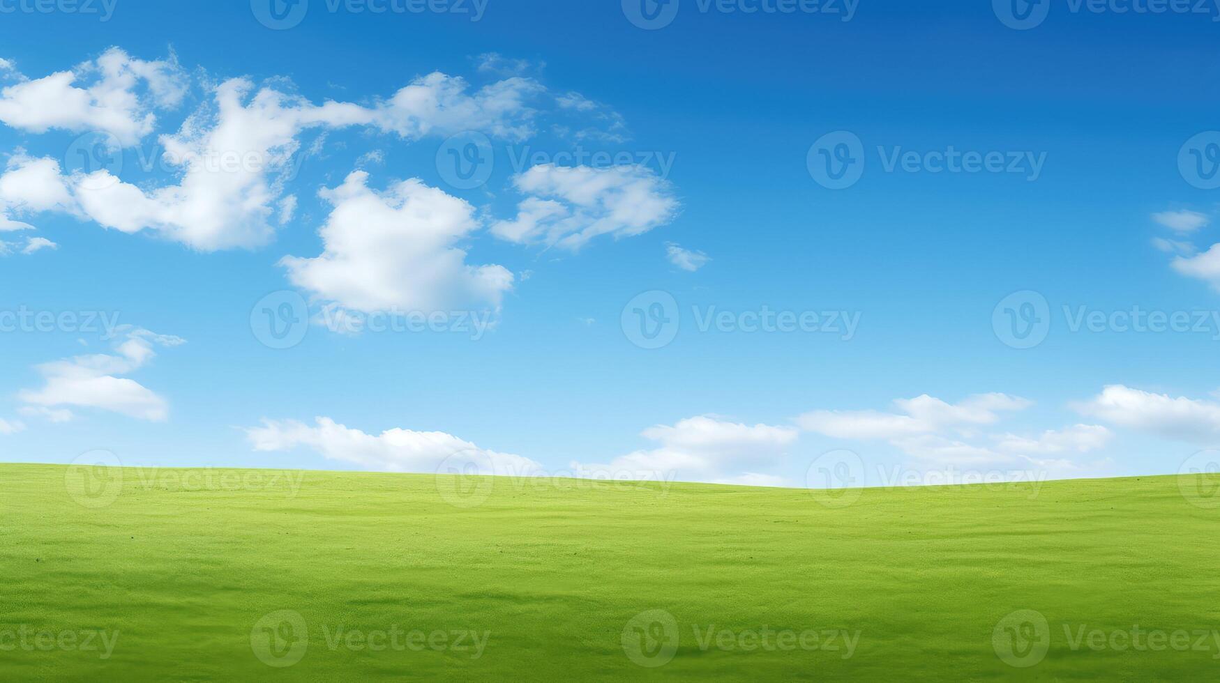 manicured lawn blue sky photo