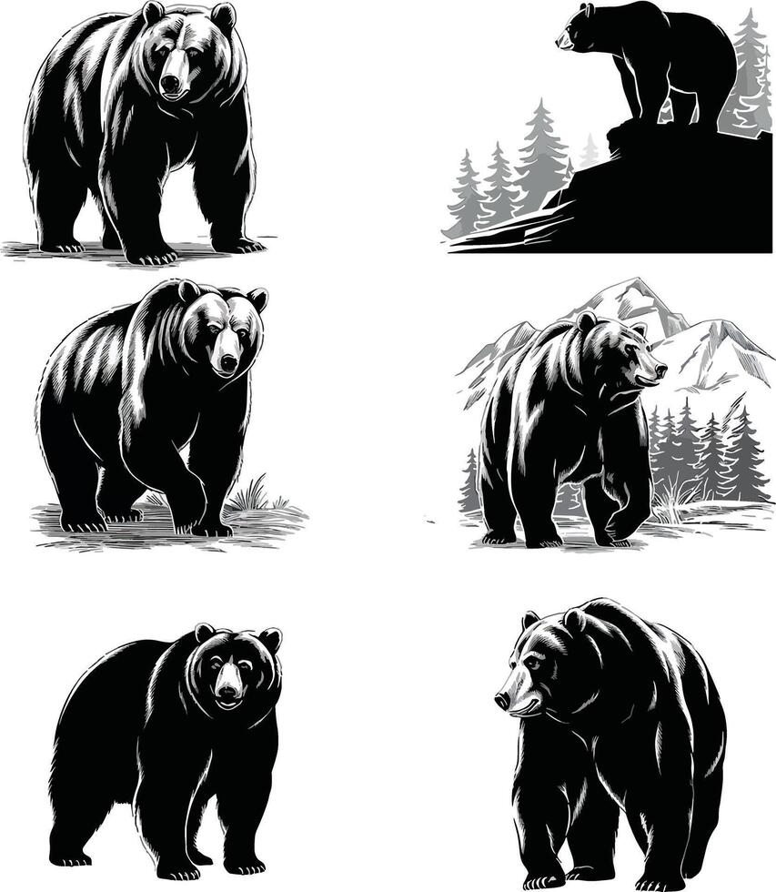 Majestic Bears Collection vector