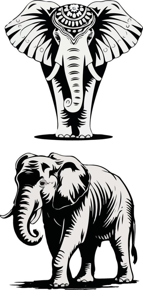 Elephant outline Illustrations Clipart vector