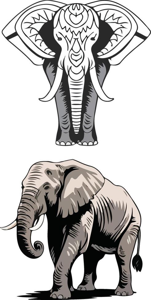 Simple Elephant Illustrations Clipart vector