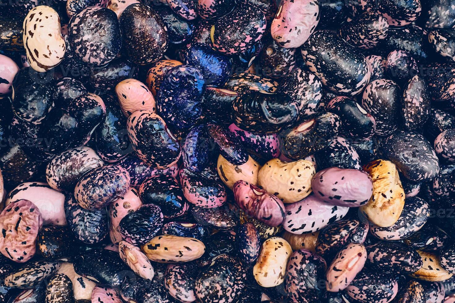 Wet haricot.Fresh useful black and pink speckled beans, ready to cook photo