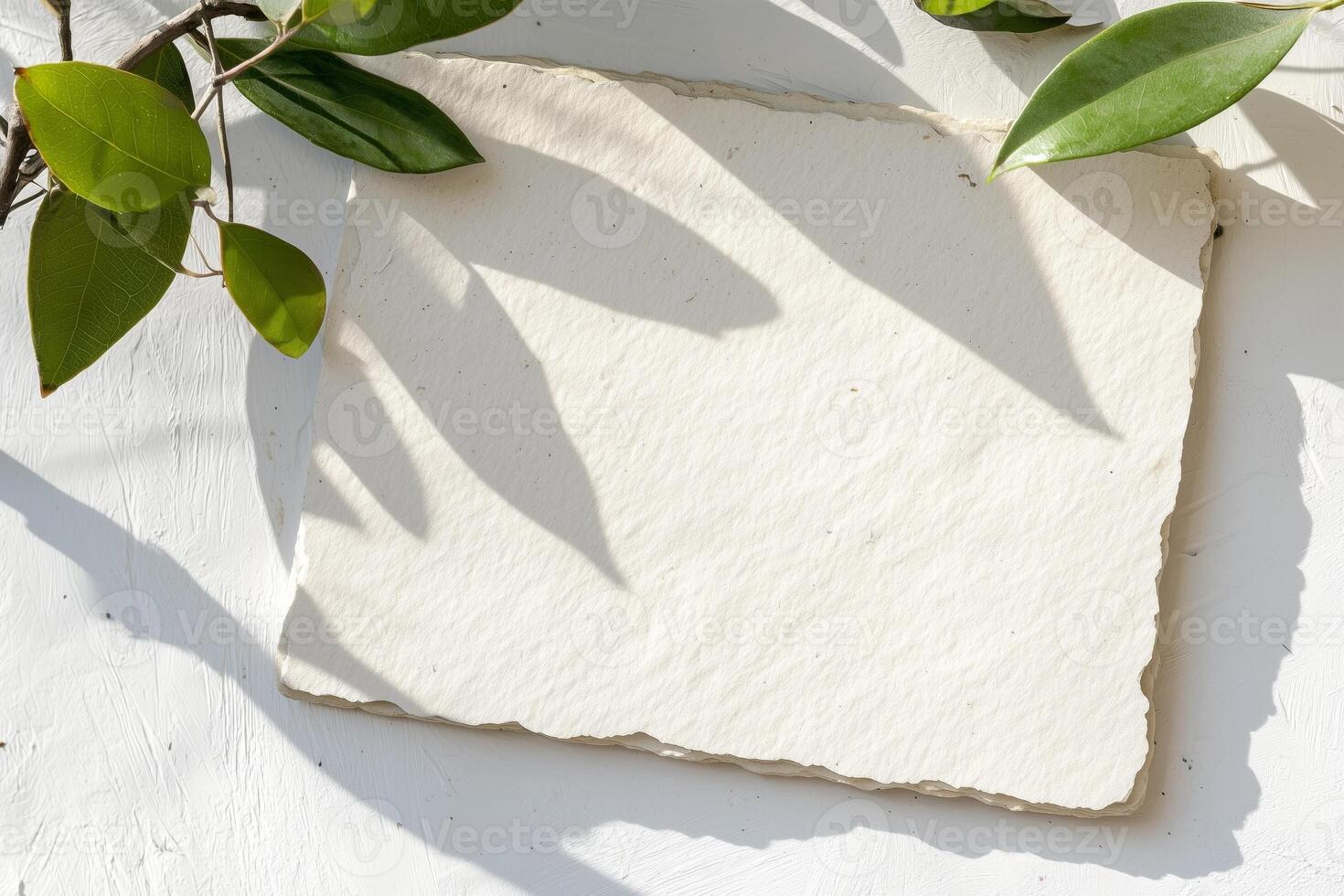 Flat lay of piece of textured blank paper surrounded by green leaves and soft natural shadows, perfect for invitations, announcements, or creative designs photo