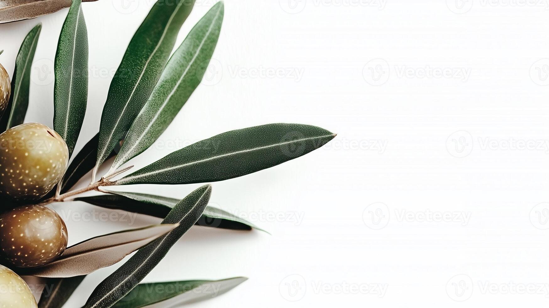 Close-up of an olive branch with textured leaves and ripe fruits on a clean white background photo