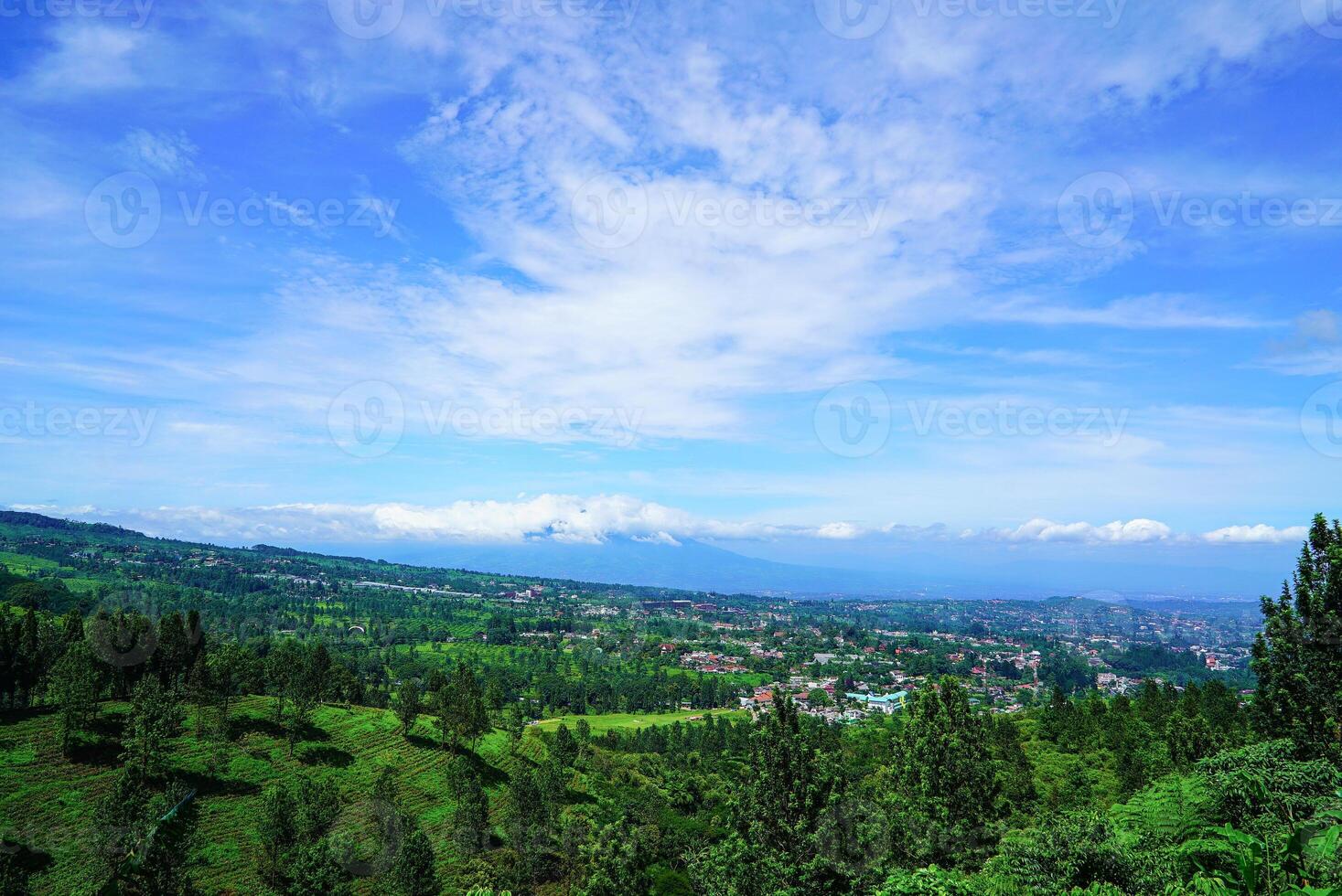 Indonesia, Puncak Bogor, West Java photo