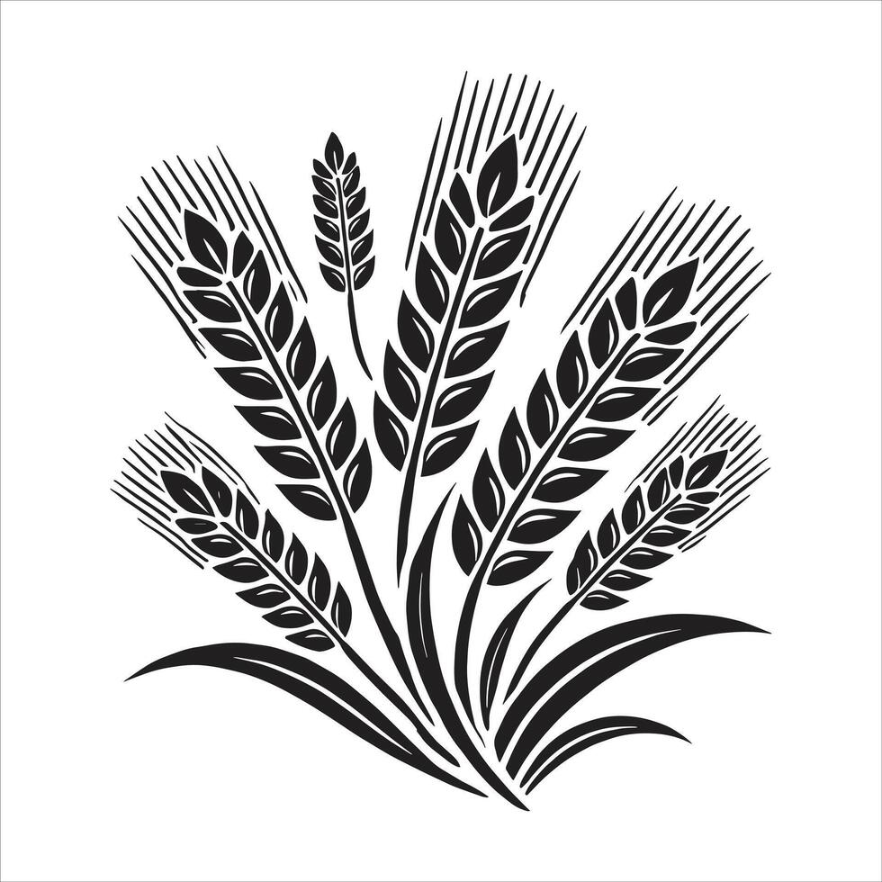 A wheat field with ears of wheat on a white background vector