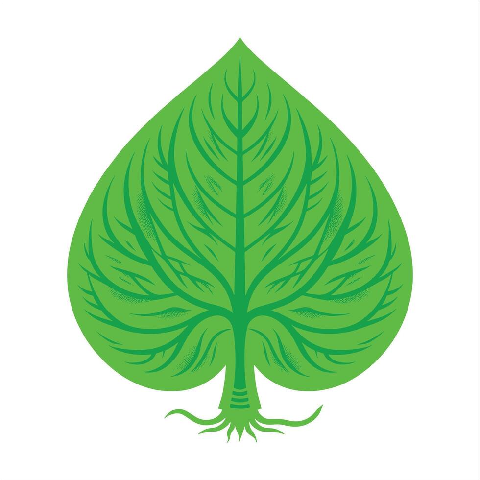 A green leaf with roots on it vector