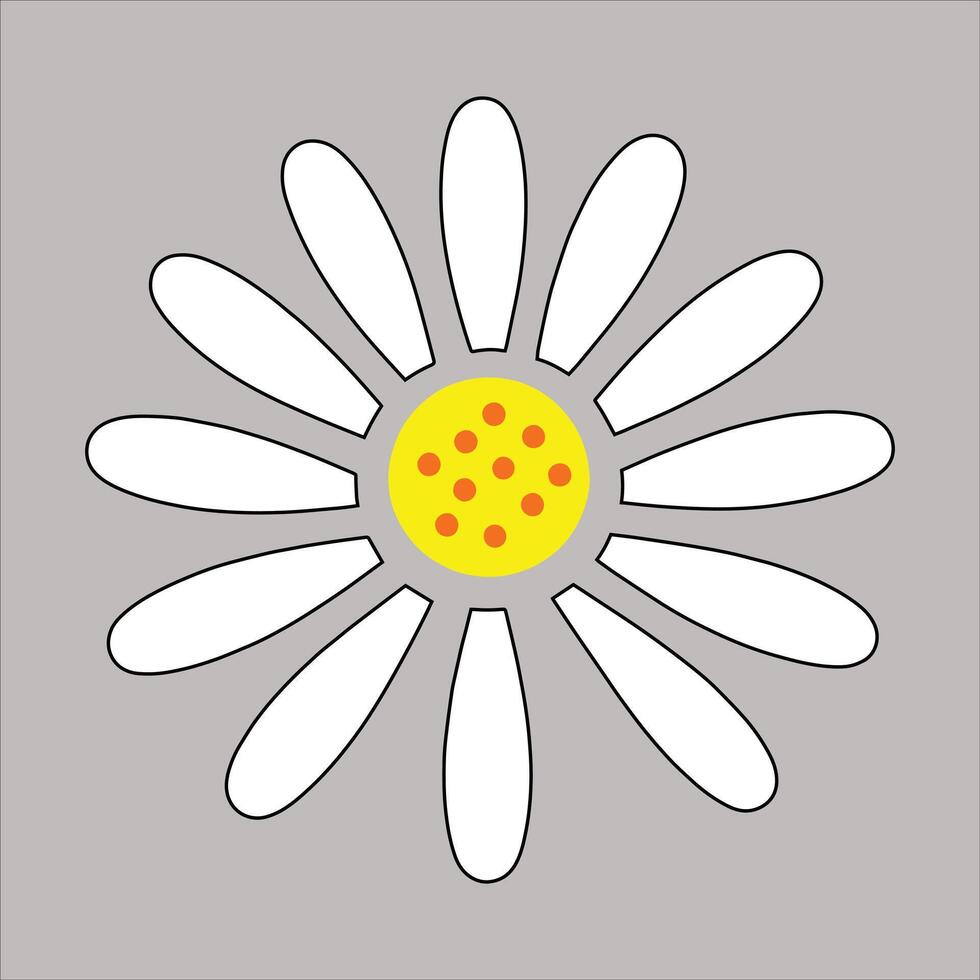 A daisy with yellow spots on a gray background vector