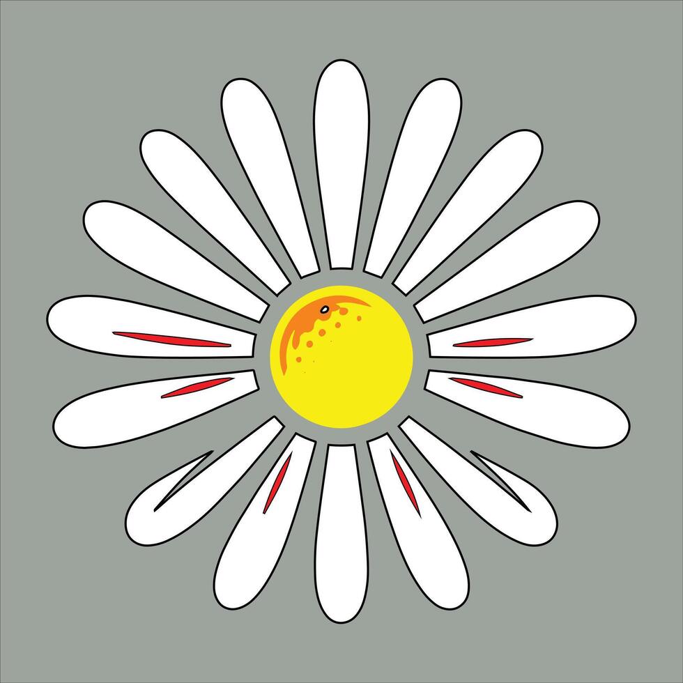 A daisy with a yellow center and red stripes vector