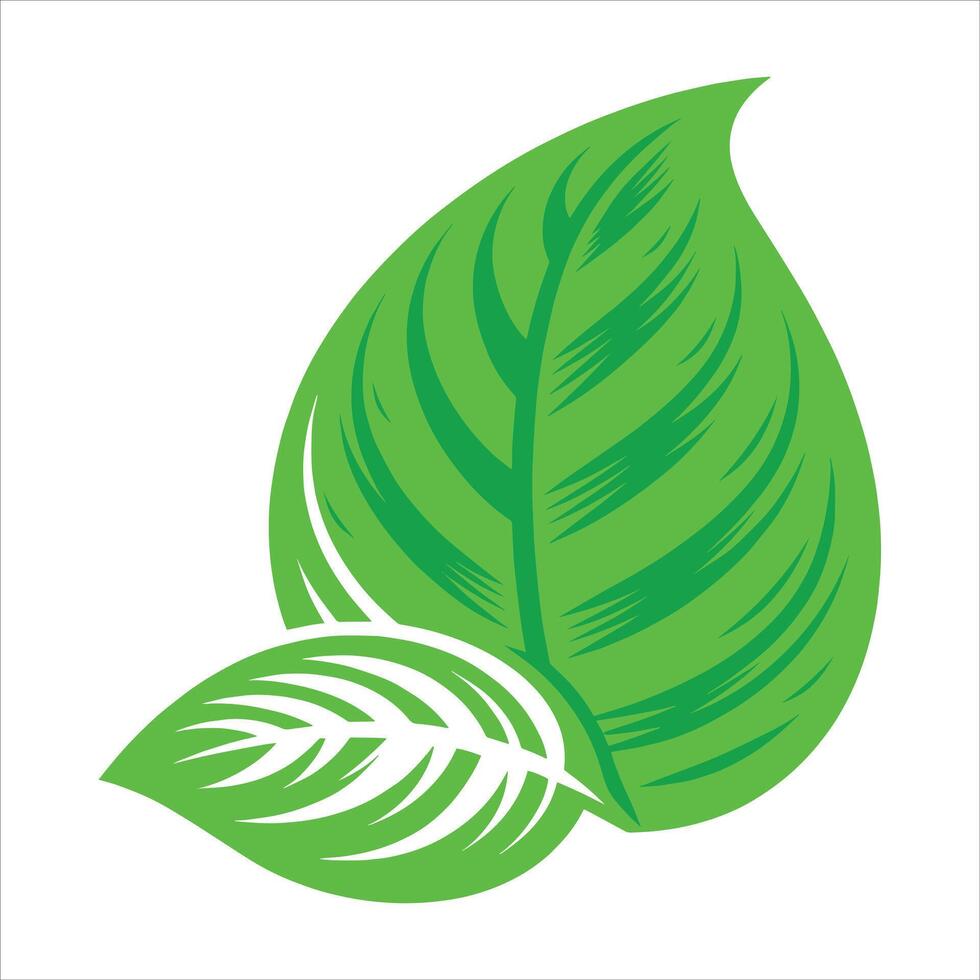 Green leaf icon vector