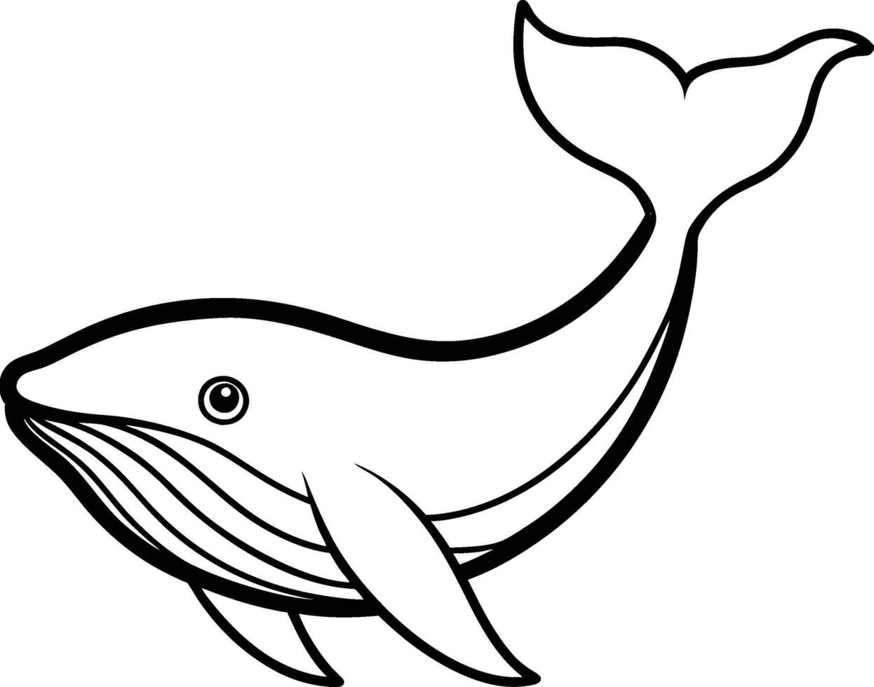 Whale Line Art Illustration vector