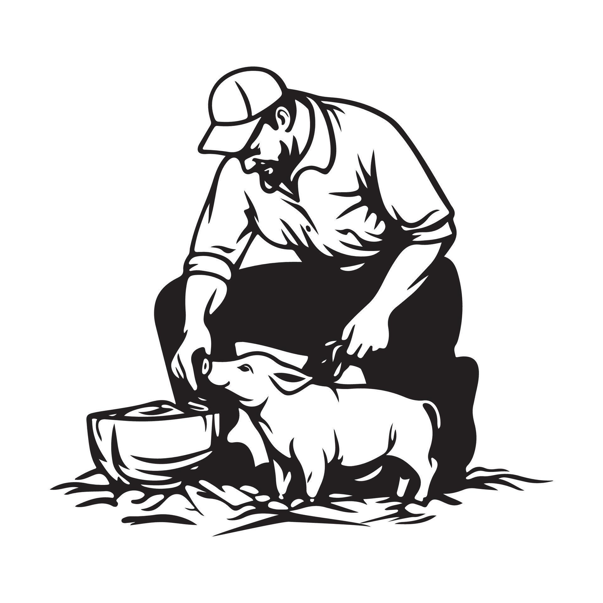 Farmer feeding pigs in farm image. Black and white Farmer Feeding Pigs ...