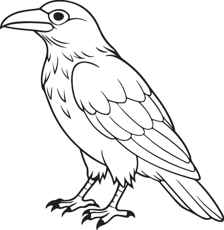 Crow line art silhouette vector