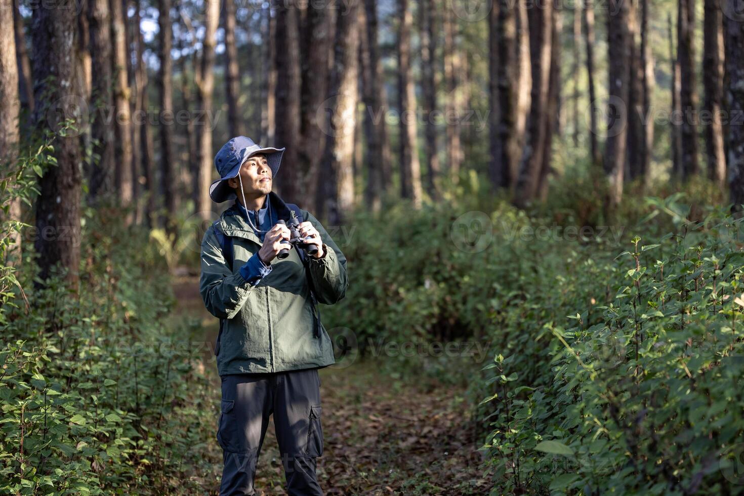 Bird watcher is looking through his binoculars while exploring in the pine forest for surveying and discovering the rare biological diversity and ecologist on the field study photo