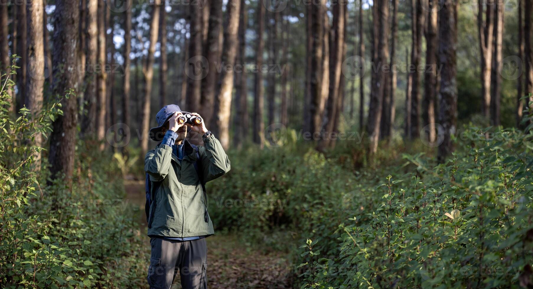 The bird watcher is looking through binoculars while exploring in the pine forest for surveying and discovering the rare biological diversity and ecologist on the field study photo