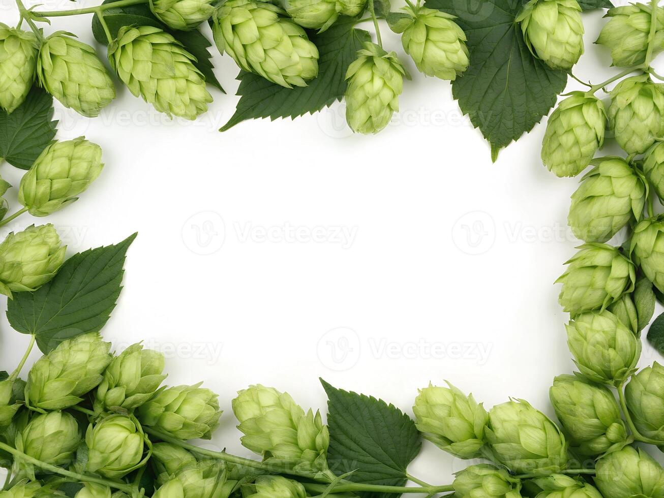 Background frame formed from a bunch of hop fruit photo