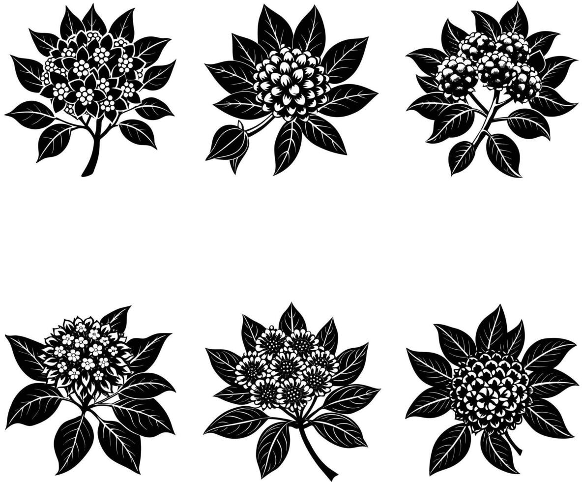 Litchi Blossom Silhouette Art vector
