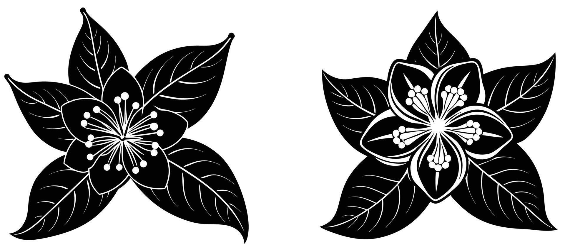 Guava Blossom Silhouette Drawing vector
