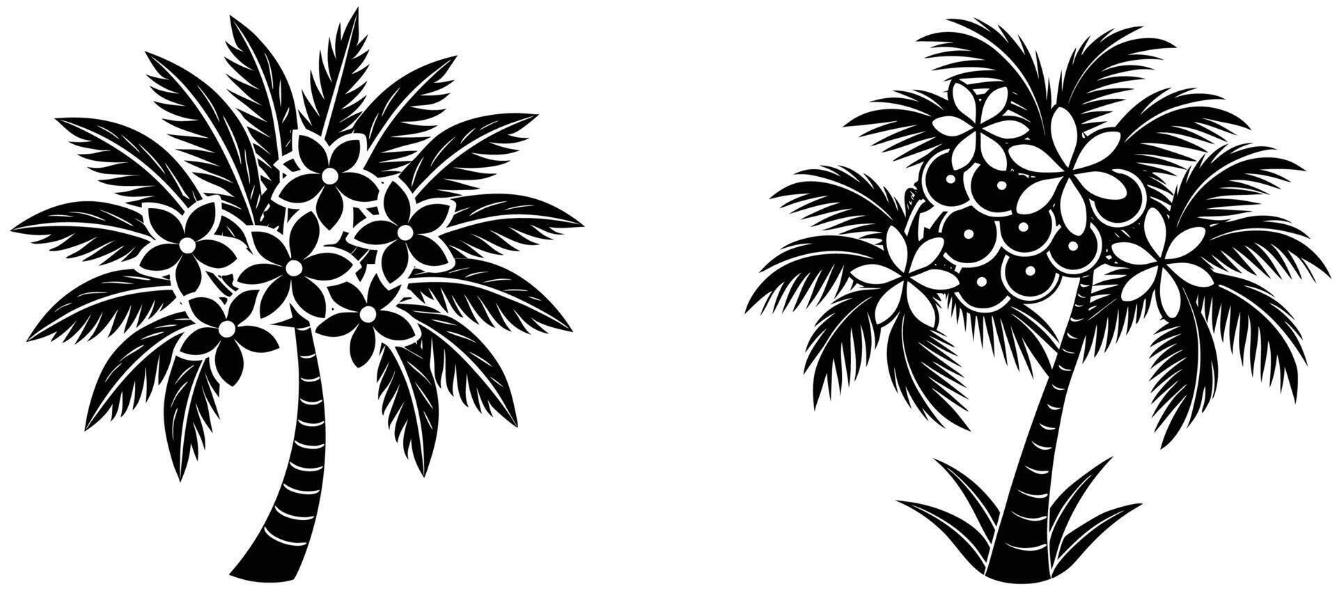 Coconut Blossom Silhouette Illustration vector