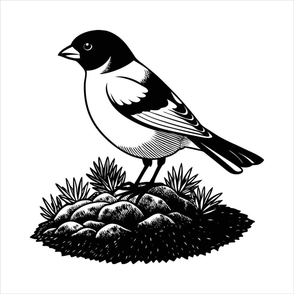 Wren Bird Silhouette Illustration vector