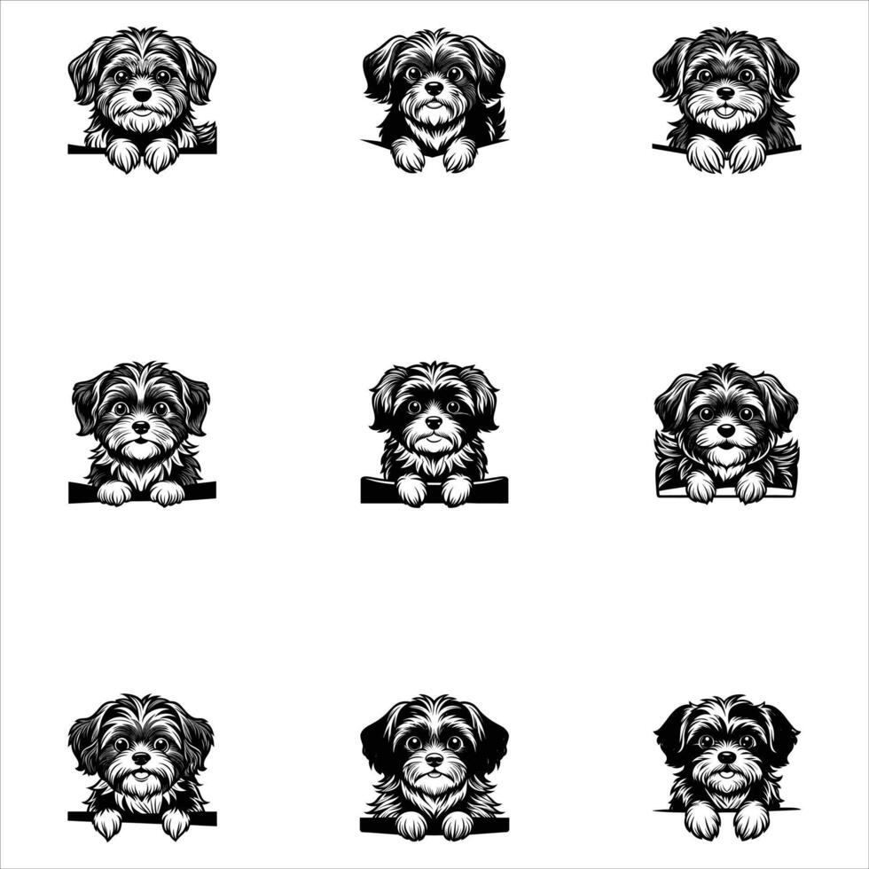 Shih tzu peeking dog silhouette vector