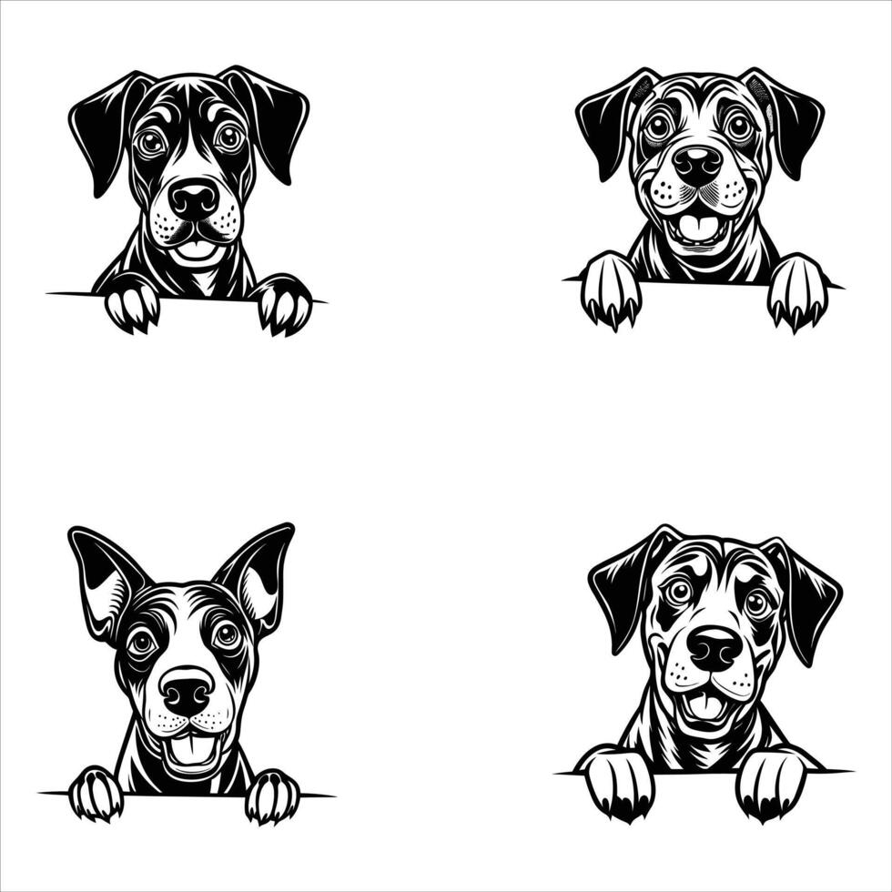 Peeking Great Dane Dog Face vector