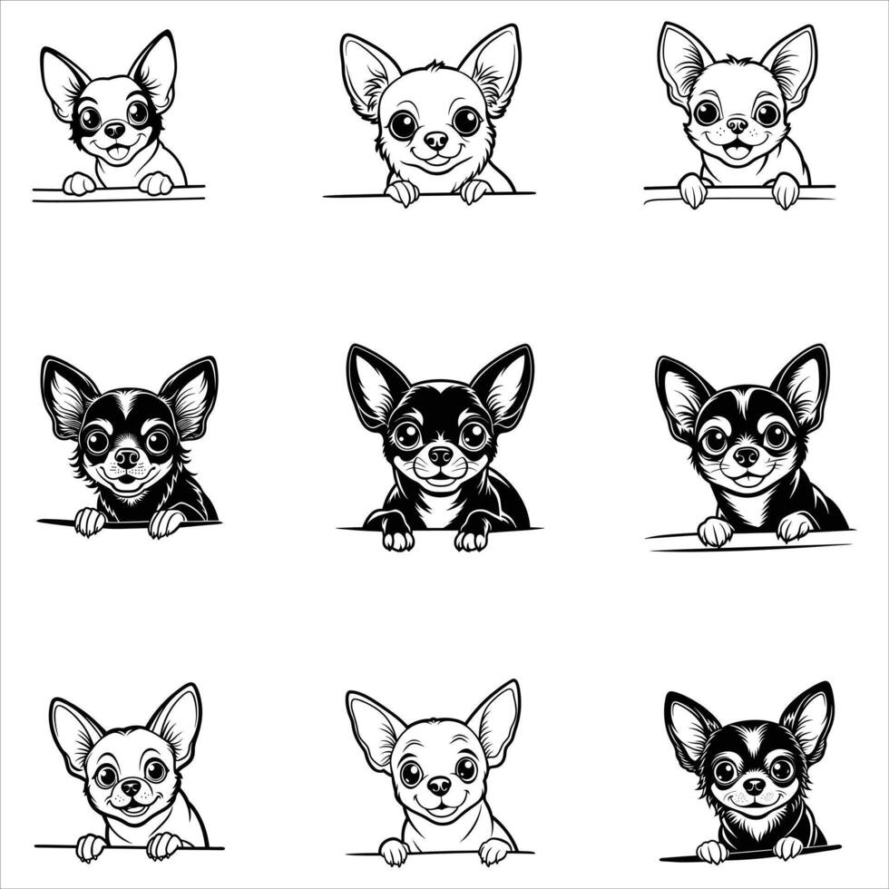 Peeking Chihuahua Dog Face vector