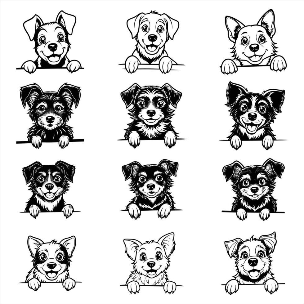 Peeking Hamilton Hound Dog vector