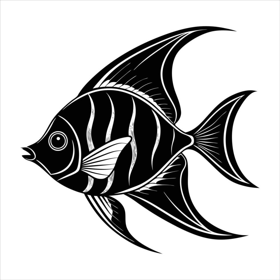 Queen Angelfish Illustrations vector