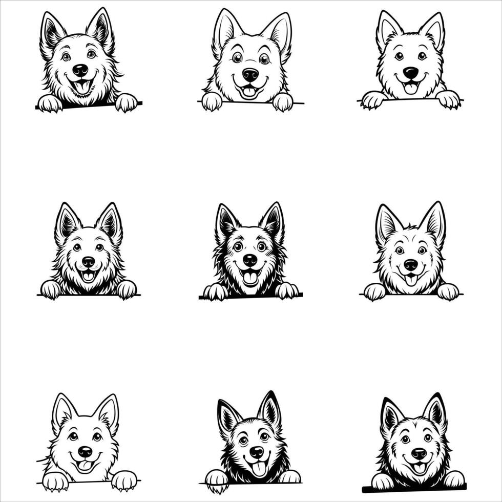 Peeking White Swiss Shepherd Do. vector