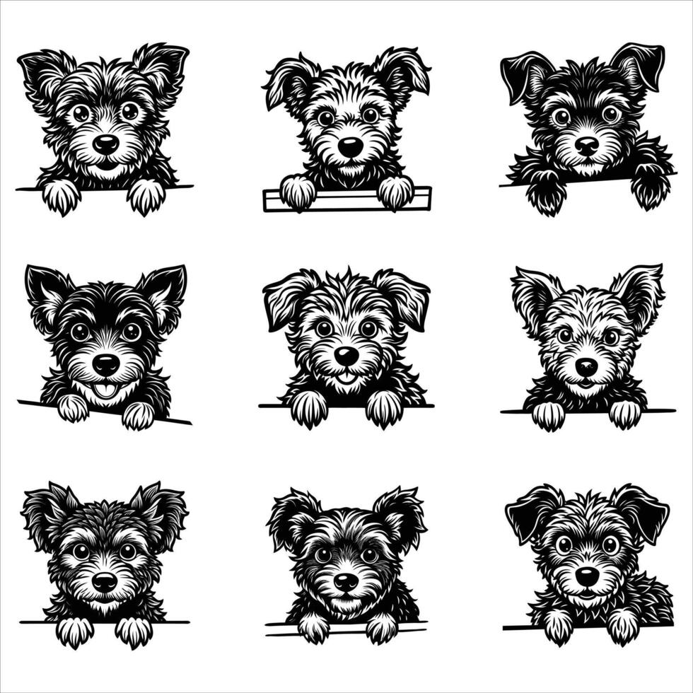 Peeking Pumi Dog vector
