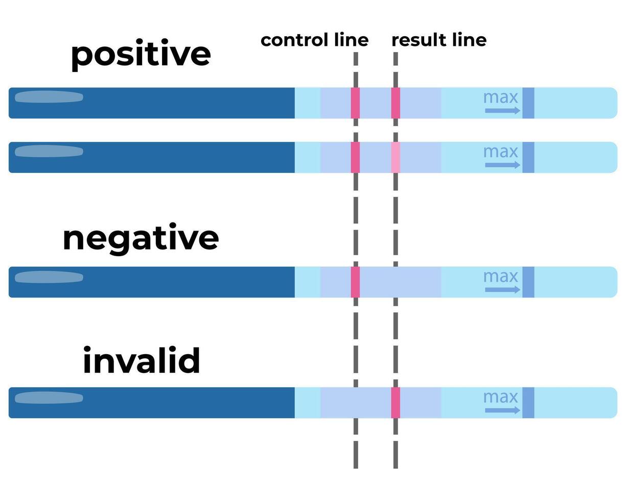 Home pregnancy test and decoding its results, infographic for instructions for use vector