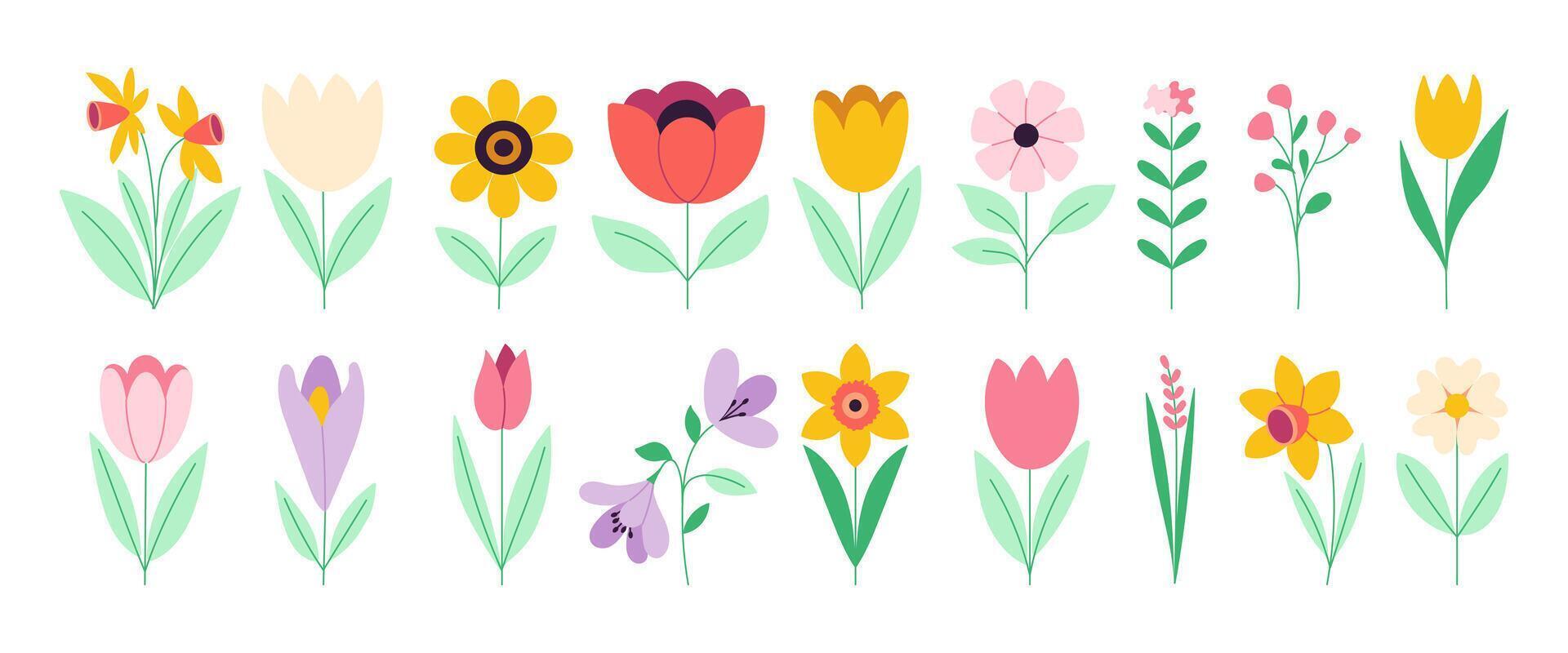 A collection of colorful flowers with green leaves vector