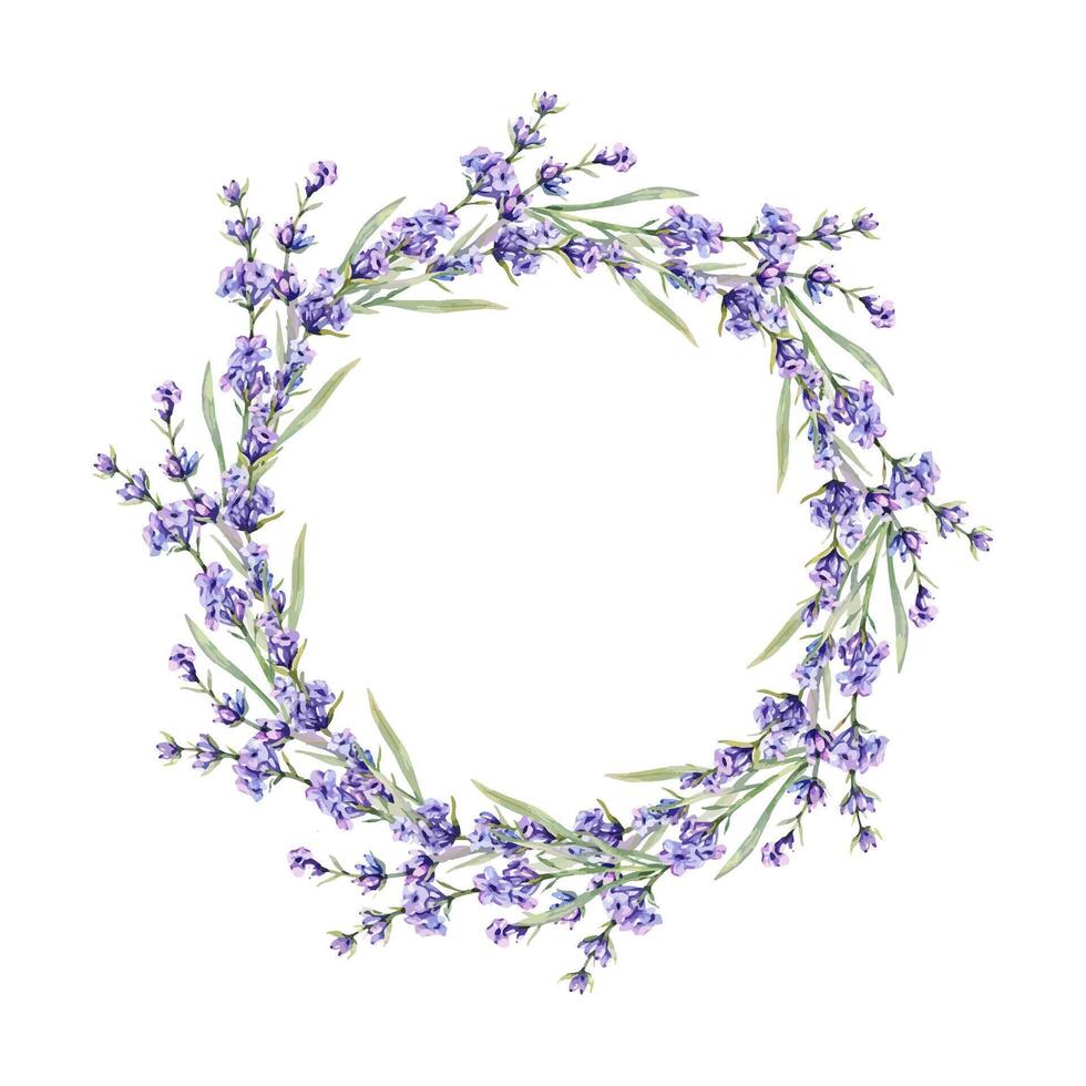 Lavender Wreath. Lavender Watercolor Illustration. Hand Drawn Lavender Branches Isolated. Lavender flower background vector