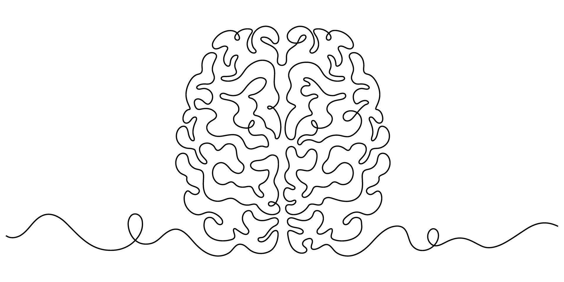 brain human organ neurology one line drawing continuous vector