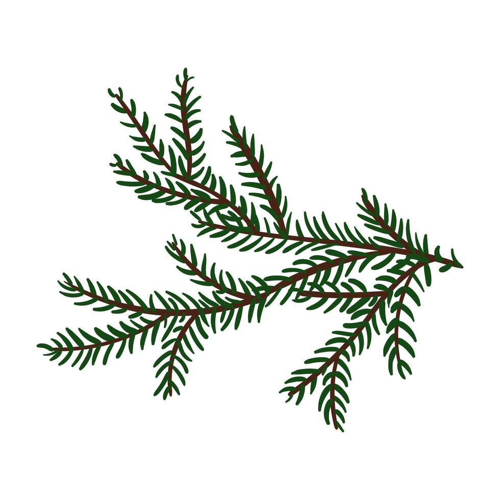 branch of the Christmas tree. Evergreen tree. Spruce. cedar twig. An illustration. Winter plants. Christmas tree. Festive. Natural diverse branches. Isolated decor for decoration. Hand-drawn vector