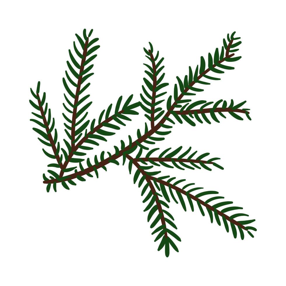 branch of a Christmas tree for toys. Evergreen tree. Spruce. cedar twig. An illustration. Winter plants. Christmas tree. Festive. Natural diverse branches. Isolated decor for decoration. Hand-drawn vector