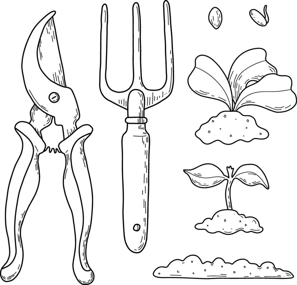 Gardening tools, pruning shears, rakes, plant shoots, seedlings. Graphic, line illustration vector