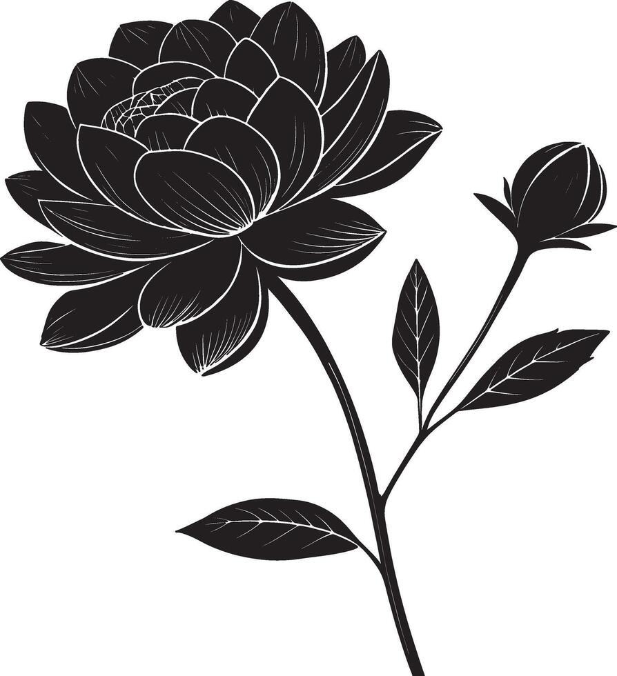 Rose flower design vector