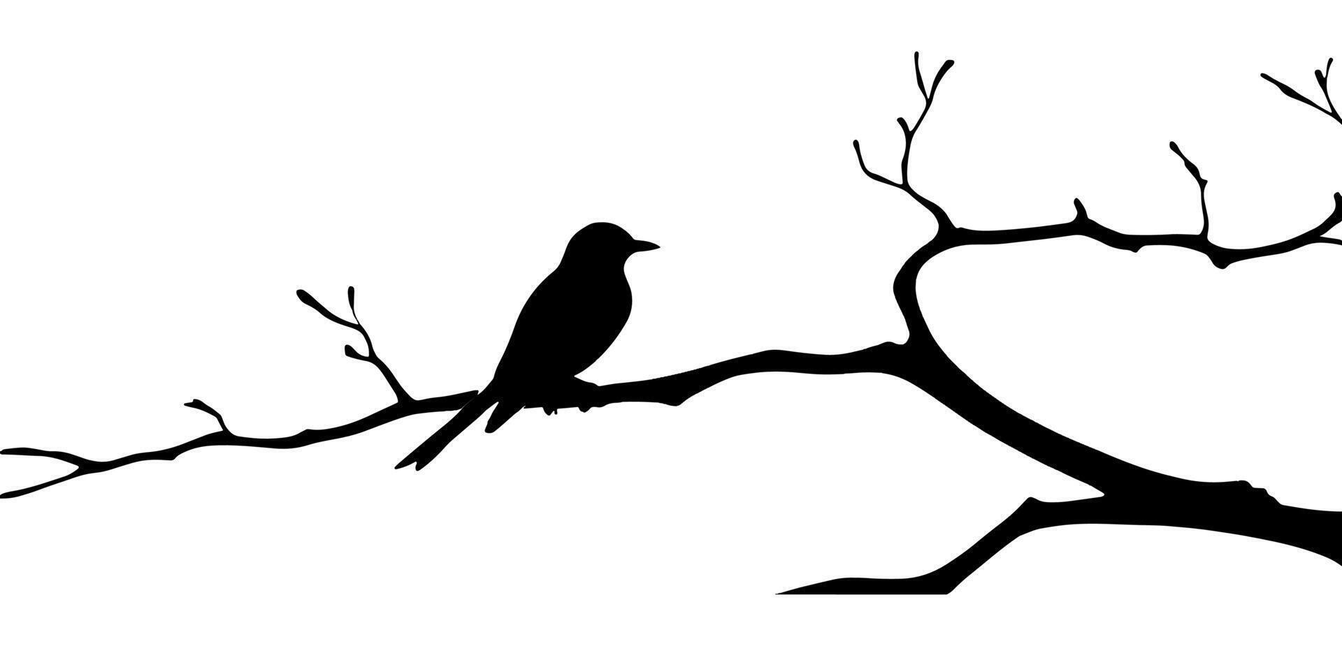 Bird on tree branch silhouette with background vector