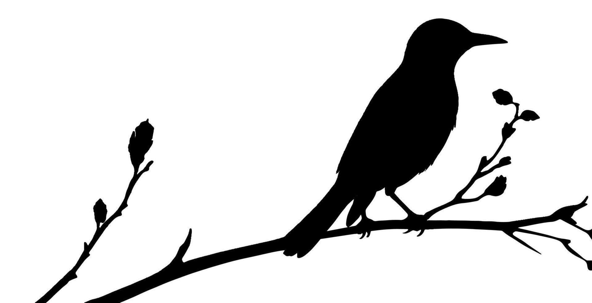Bird on branch silhouette on a white vector