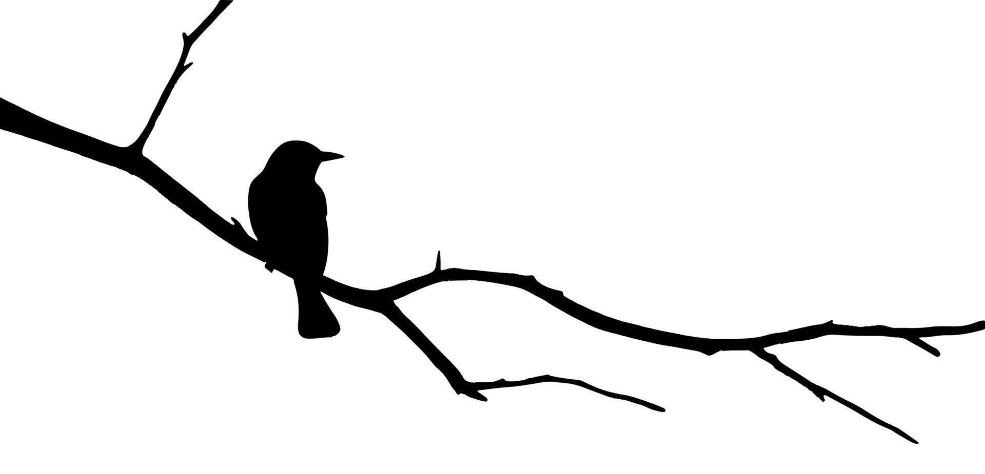 Bird on tree branch illustration on white vector