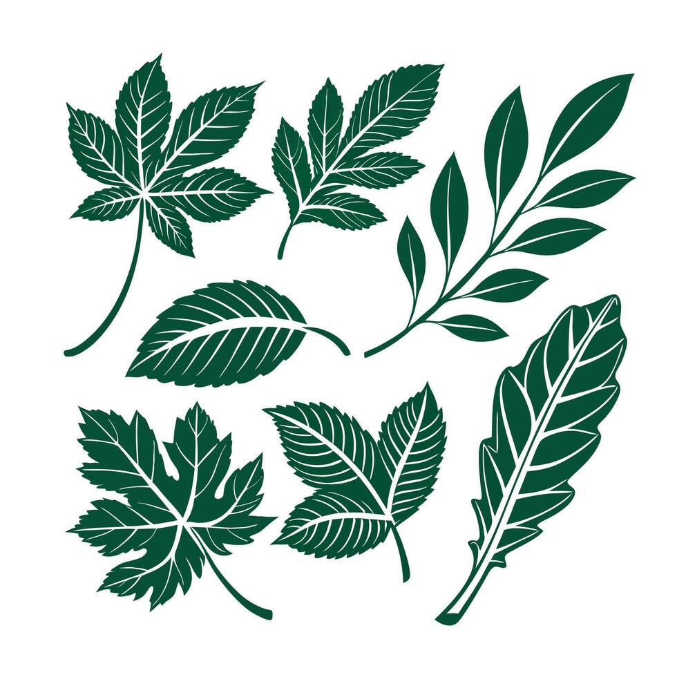 Green color leaf set vector