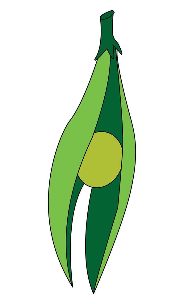 Green peas isolated on white background vector