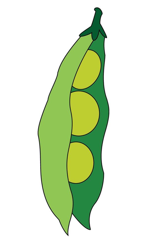 A pea vegetable vector