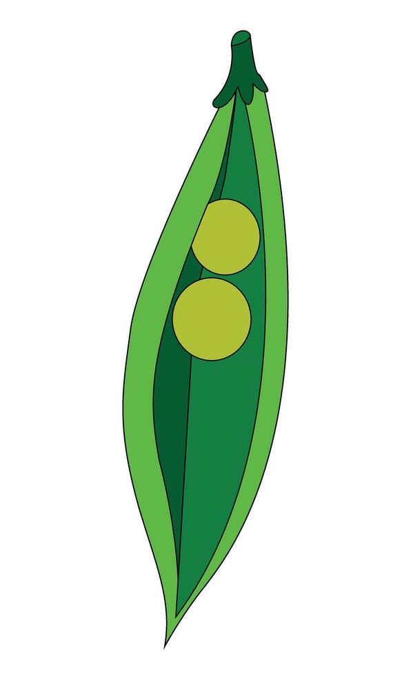 Fresh peas vegetable illustration vector