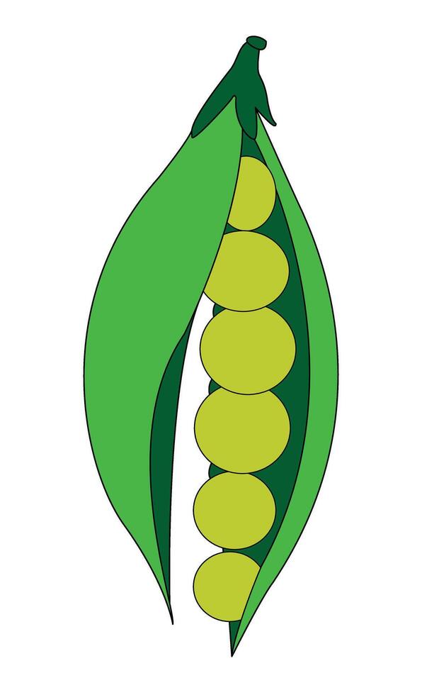 Green peas in a pod illustration vector