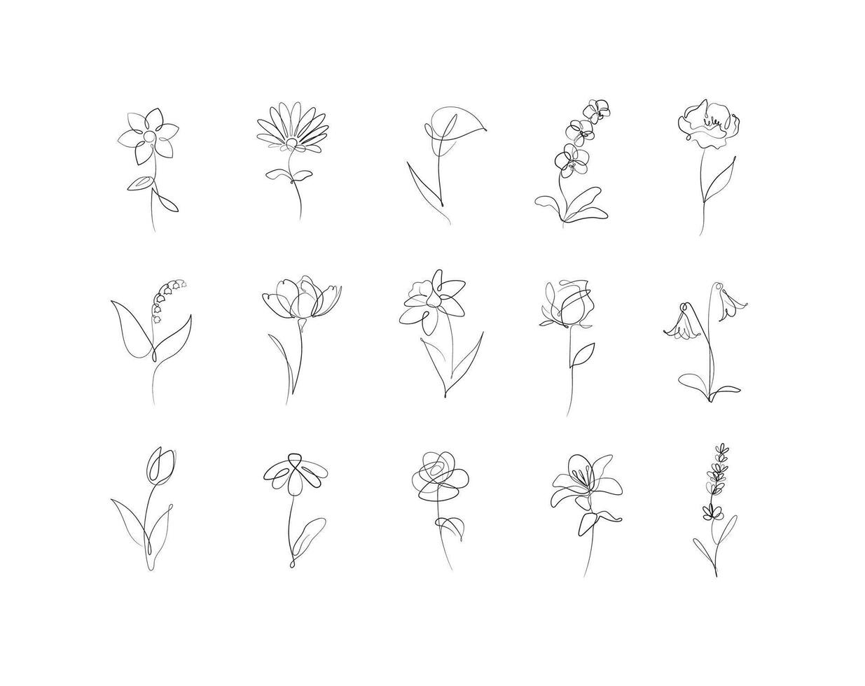 Flowers icons set rose, tulip, bell, camellia, daffodil, daisy, calla, lavender, lily, peony, poppy, wallflower drawing in linear style with black on white background vector